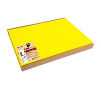PRONAPPE Barquette de 100 sets de table spundbond, unis - Format 30x40cm - Jaune
