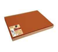 PRONAPPE Barquette de 100 sets de table spundbond, unis - Format 30x40cm - Terracotta