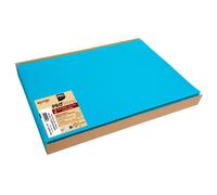 PRONAPPE Barquette de 100 sets de table spundbond, unis - Format 30x40cm - Turquoise