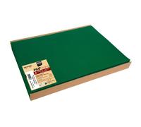 PRONAPPE Barquette de 100 sets de table spundbond, unis - Format 30x40cm - Vert sapin