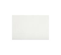 PRONAPPE Barquette de 500 sets de table papier Tiss Lack, unis - Format 30x40 cm - Blanc