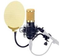 Microphone Studio Grande Condensateur Enregistrer Set Étui Filtre Anti Pop Or