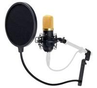 Kit Microphone Condensateur avec Suspension Filtre Anti-Pop Studio Chant Podcast