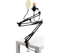 Microphone Condensateur Micro Studio Enregisteur Kit Bras Suspension Filtre Noir