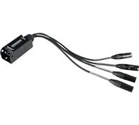 Pronomic NetCore SP-3M Multicore-Spliss male - Câble avec 4 connecteurs XLR (male) vers prise RJ45 - pour la transmission de signaux analogiques ou numériques via câble réseau