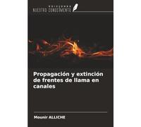 Propagación y extinción de frentes de llama en canales