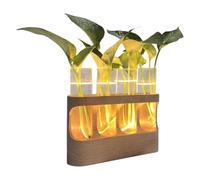 Propagateur de - Terrarium décoratif avec lumières LED | Tubes à essai en verre pour hydroponiques - Cadeau pour toutes les personnes et pour la maison chambre