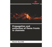 Propagation and extinction of flame fronts in channels
