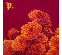 PROPER. - I SPENT THE WINTER WRITIN CD NEUF