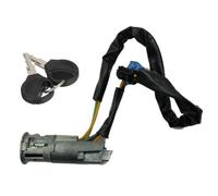 ProPlip Neiman Antivol de Direction Compatible avec 206 phase 1 206+ 4162Z1 N0501539 4162HK