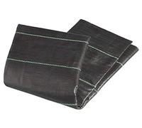ProPlus Bâche de Sol Eco 3,00 x 7,00 m