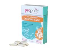 Propolia Chewing Gums Propolis & Cannelle 24g