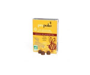 Propolia Gomme Miel/Propolis 45G
