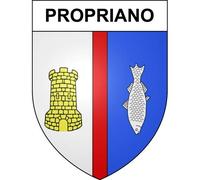 Propriano 20 ville sticker blason écusson autocollant adhésif - Taille : 8 cm