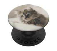 Propriétaire de chat porte-chats bébé chaton chat amoureux PopSockets Support et Grip pour Smartphones et Tablettes PopSockets PopGrip Adhésif