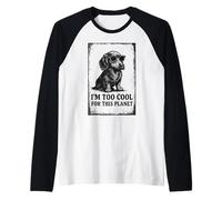 Propriétaire de Chien Teckel Wiener à Poils Longs Manche Raglan