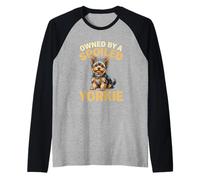 Propriété d'un propriétaire Amusant Yorkshire Terrier gâté Manche Raglan