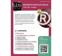 Propriété intellectuelle Droit des marques - Michel Dupuis - Enrick B. Eds - broché - Etude