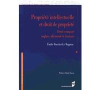Propriete intellectuelle et droit de propriete
