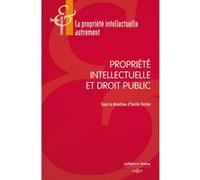 Propriété intellectuelle et Droit public Jean-Michel Bruguière (Auteur), Emilie Terrier (Auteur)