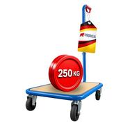 PROREGAL Chariot de manutention Professionnel | HxLxP 96x50x60 cm | Charge maximale 250 kg | Pneus en Caoutchouc Plein, 2 roulettes pivotantes avec Freins et 2 roulettes Fixes | Bleu Clair