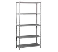 PROREGAL Étagère à vis Panda Tall | HxLxP 200x100x40cm | 5 étagères | par Niveau 100kg | Étagère de Rangement en métal | Galvanisé | Étagère de Garage, étagère de Rangement, rayonnage