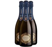 Prosecco Superiore Valdobbiadene Extra Dry - Blanc 2023 - Santi - Vin Blanc d'Italie (3x75cl) Effervescent