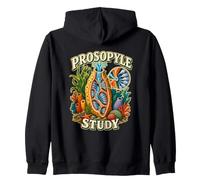 PROSOPYLE Study Éponge Marine Zoologie Anatomie Sweat à Capuche