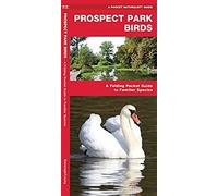 Prospect Park Birds: A Folding Pocket Guide To Familiar Species (Wildlife And Nature Identification)