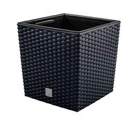 Prosperplast DRTS325L S433 Pot de Fleur Pot en rotin Anthracite