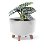 Prosperplast Gracia Eco Wood Pot de fleurs avec pieds amovibles, convient pour l'intérieur et l'extérieur - Fabriqué en matériau qui contient jusqu'à 33 % de bois (blanc éco, diamètre : 200 mm)