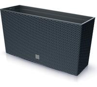 Prosperplast Jardinière Rato Case M avec Insert de Plantation - 77 x 23,5 cm - Anthracite