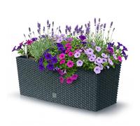 PROSPERPLAST Jardinière rectangulière noir arrosage automatique 17l.