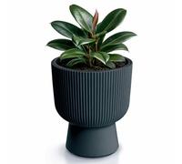 Prosperplast Pot de fleurs Milly DBMIG240 – cylindrique, résistant gel/chaleur/UV, anthracite 239 mm