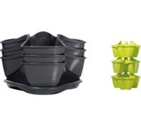 Prosperplast Pot à herbes aromatiques "COUBI" Graphite 38 cm 3pcs