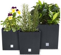 Prosperplast Pot Rato Low 17 Cm ; 20 Cm ; 22 Cm, Anthracite- Lot de 3 pièces