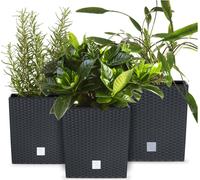 Prosperplast Pot Rato Low 20 Cm ; 22 Cm, 26 Cm, Anthracite- Lot de 3 pièces