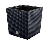 Prosperplast bac de plantation Rato 10 litres anthracite 22,3 x 22,3 x 22,8 cm