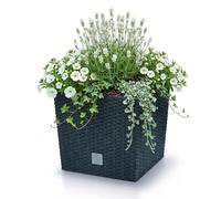 PROSPERPLAST Rato 15,8 litres avec bac de plantation anthracite foncé 26,2 x 26,2 x 26,6 cm.