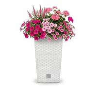 PROSPERPLAST Rato 26,6l Pot avec Insert 26,5 x 26,5 x 50 cm Blanc