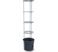 Prosperplast TOMATO GROWER bac à tomates 29,5 cm anthracite