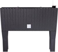 Prosperplast Tube de plantation auto-irrigant 30l, anthracite RATO CASE HIGH DRTC600H-S433