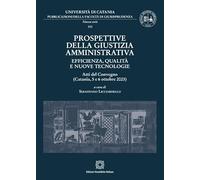 Prospettive della giustizia amministrativa. Efficienza, qualità e nuove tecnologie. Atti del Convegno (Catania, 5 e 6 ottobre 2023)