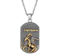 PROSTEEL Collier avec Pendentif Plaque Acier avec Signe Astrologique Capricorne Plaqué Or Serte de Strass
