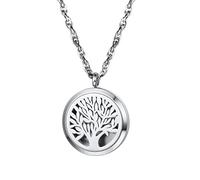 PROSTEEL Collier Diffuseur d'Huile Essentielle Personnalisable Pendentif Médaillon en Acier Inoxydable/Plaqué Or