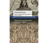 Protean Power Peter J Cornell University Katzenstein, Seybert New York , Washington Dc Lucia A American University (Auteur)