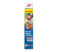 Protect Expert Anti-nids de guêpes & frelons – Action choc & rapide – Détruit en 1 min – 750 ml