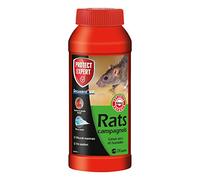 Protect Expert Anti Rats et campagnols - Efficacité Radicale - Lieux secs & humides - 24 Sachets pâtes - 240g - Prêt à l'emploi - Une Ingestion Suffit- Très Appétent RACPAT240