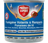 PROTECT EXPERT Fumigènes Anti-punaise de lit - 10 G - Elimine Les Larves, Punais