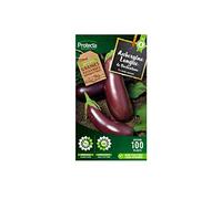 Protecta - Aubergine violette de Barbentane